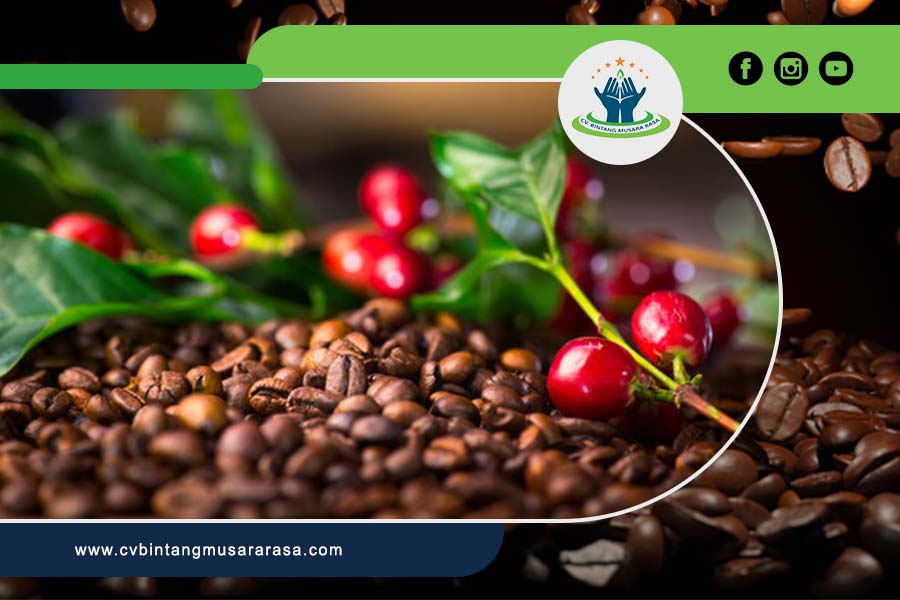 Indonesian Coffee Bean Export Commodity