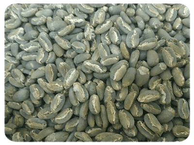 product - longberry